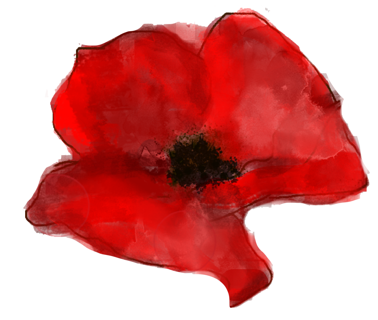 Poppy Drawing Honoring 'C'